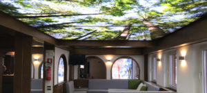 La forza della natura di Canazei (TN) irrompe nell’Hotel Andreas, grazie ai pannelli retroilluminati realizzati da ImagInk con tecnologia AT PColor, su progetto di dear studio.